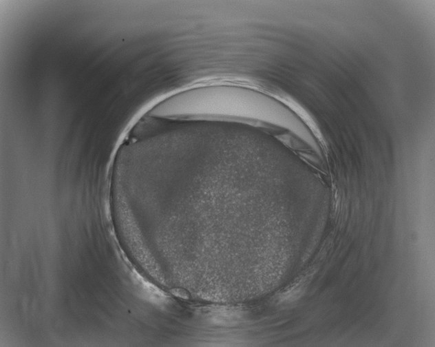 X0000082721102200702161835