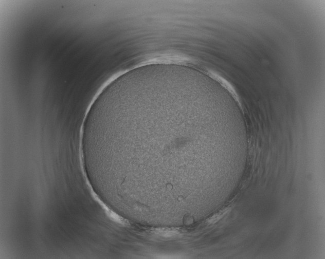 X0000082721103200702161835