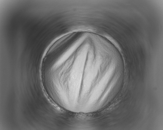 X0000082721104200702161835