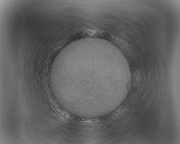 X0000082721105200702161834