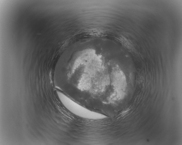 X0000082721106200702161834