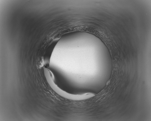 X0000082721109200702161834