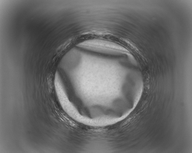 X0000082721110200702161834