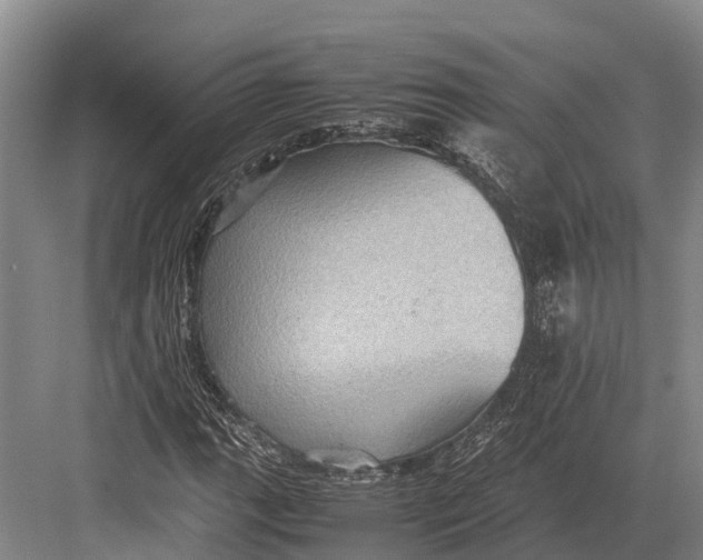 X0000082721111200702161834