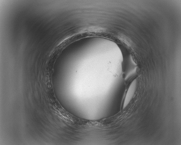 X0000082721112200702161834