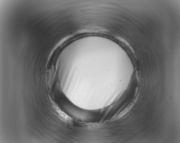 X0000082721114200702161834