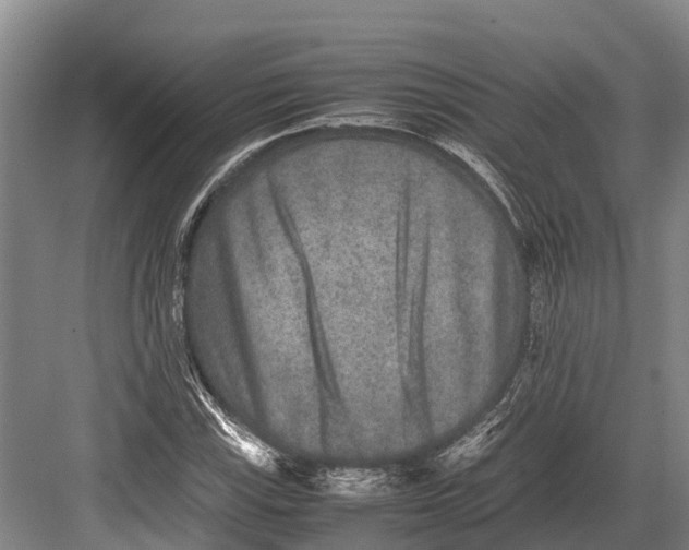 X0000082721115200702161834