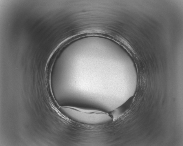 X0000082721116200702161834