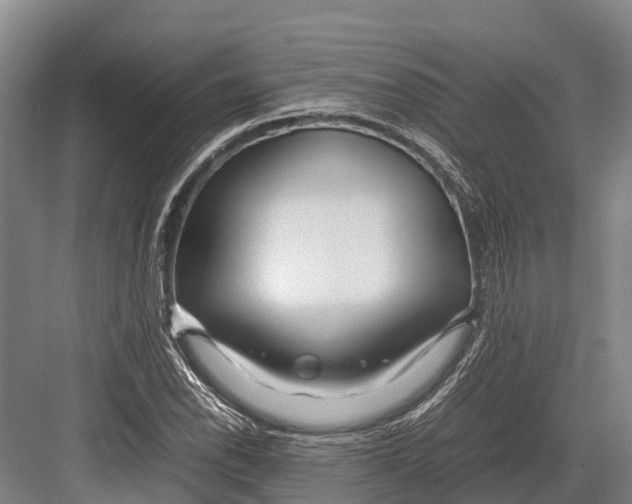 X0000082721118200702161834