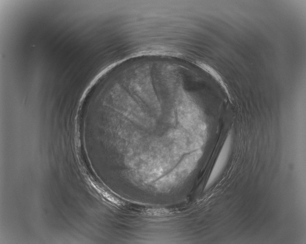 X0000082721120200702161834