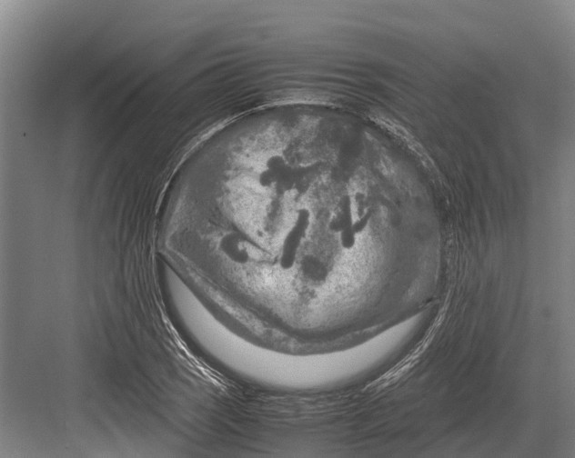 X0000082721121200702161834