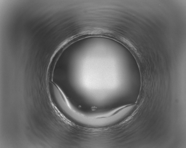 X0000082721122200702161834