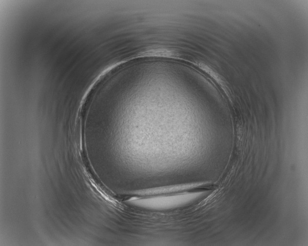 X0000082721123200702161834