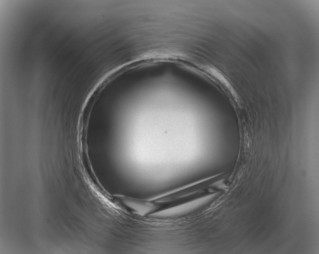 X0000082721124200702161834