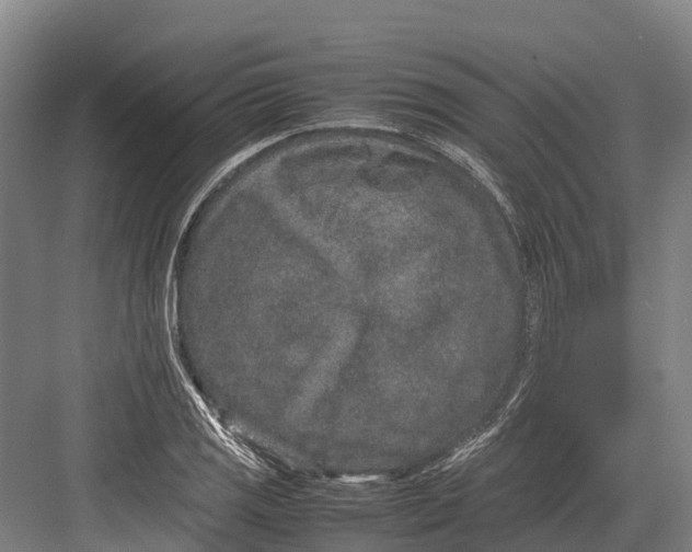 X0000082721125200702161834