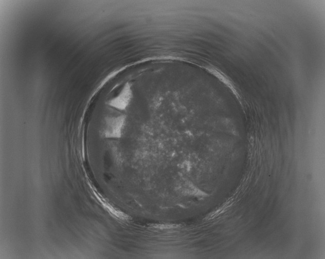 X0000082721127200702161834