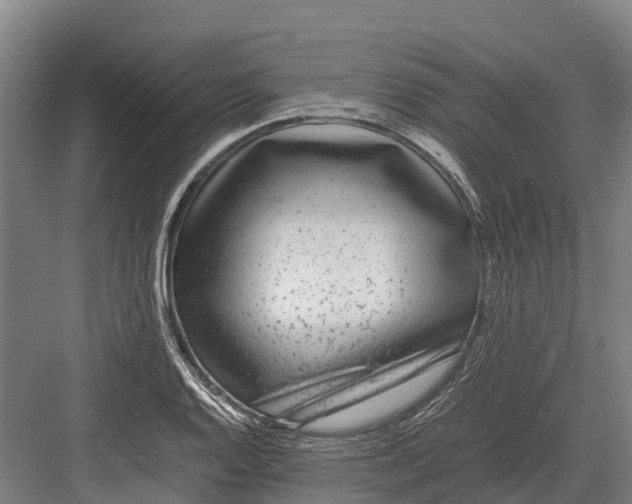 X0000082721128200702161834