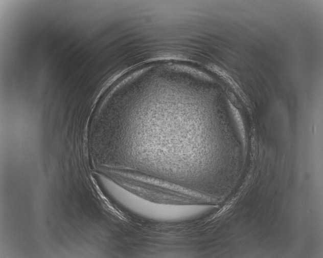 X0000082721129200702161834