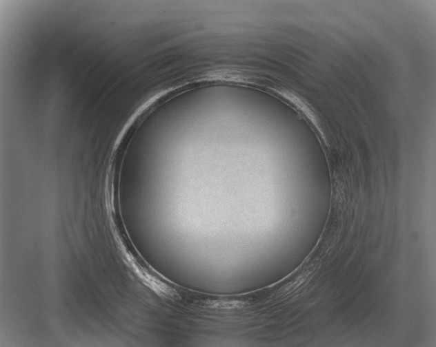 X0000082721131200702161834