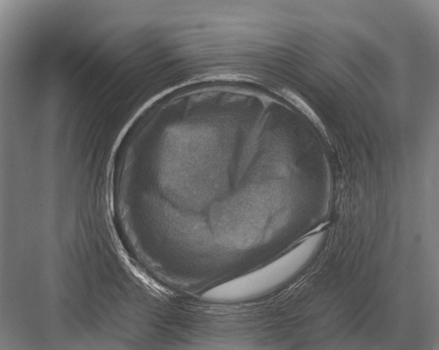 X0000082721132200702161834