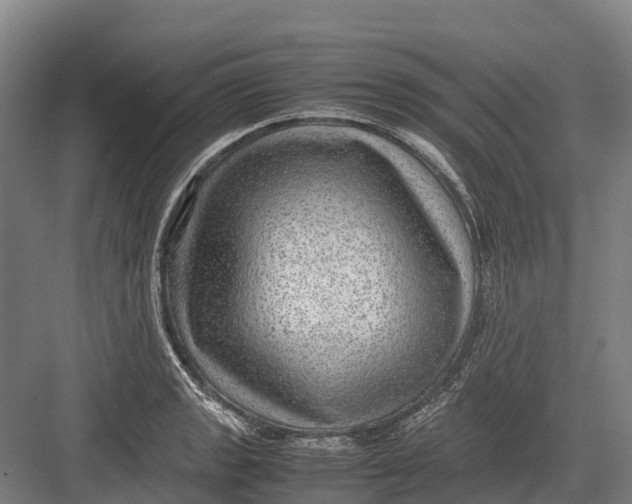 X0000082721133200702161834