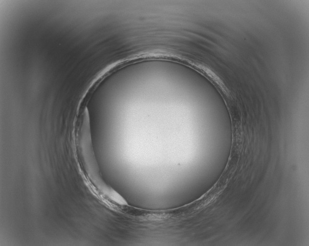 X0000082721134200702161834