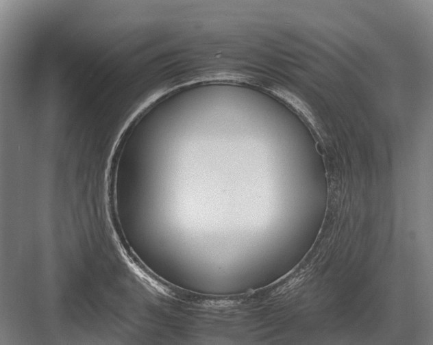 X0000082721135200702161834