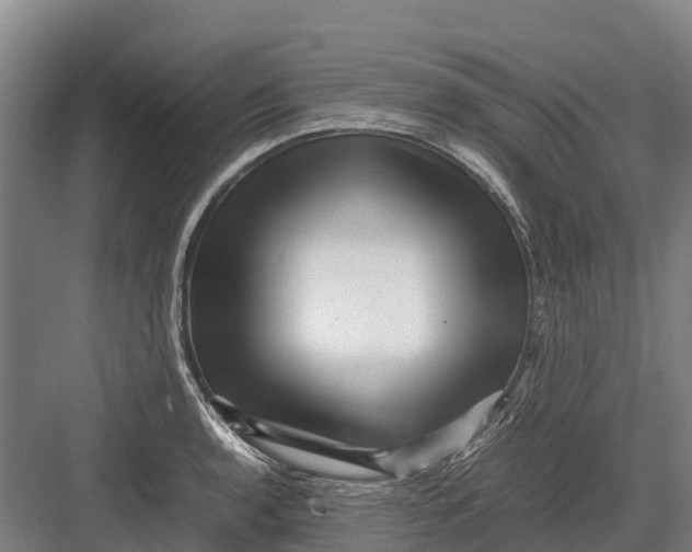 X0000082721136200702161834