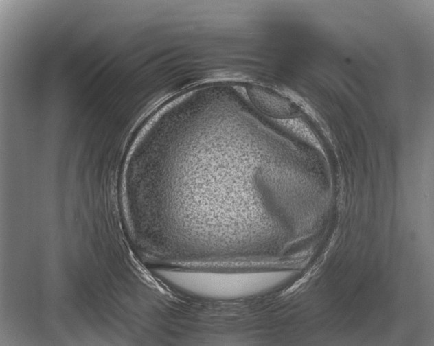 X0000082721137200702161834