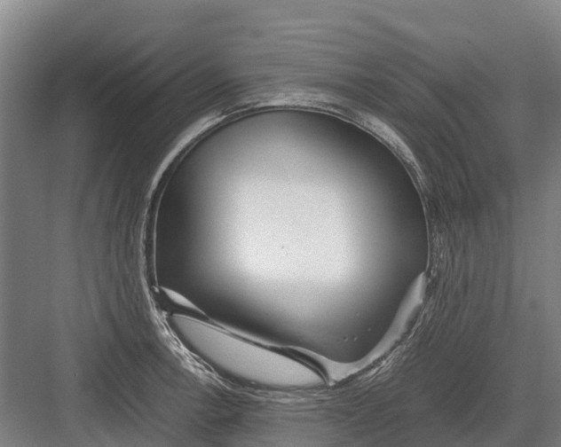 X0000082721138200702161834