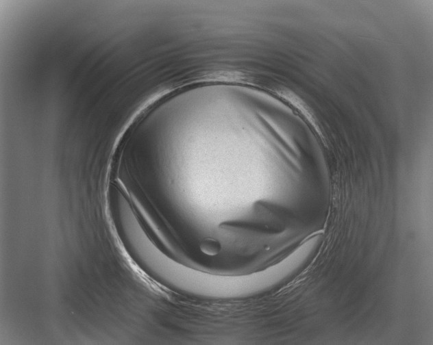 X0000082721139200702161834