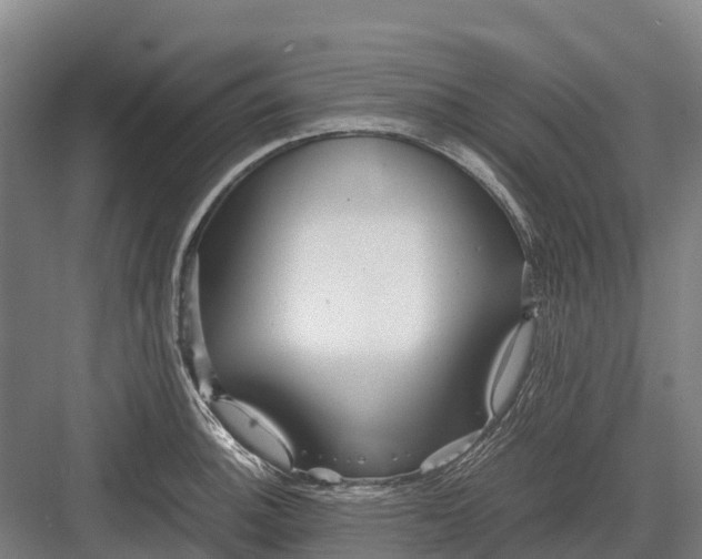 X0000082721140200702161834