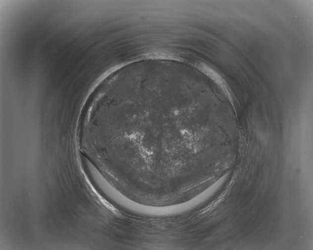 X0000082721141200702161834