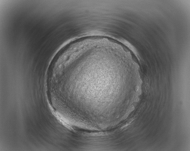 X0000082721142200702161835