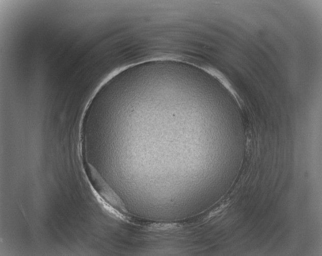 X0000082721143200702161835