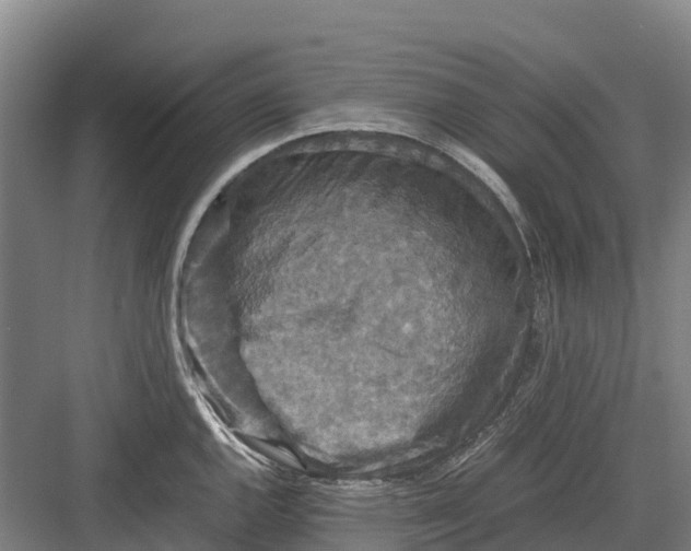 X0000082721144200702161835