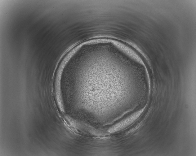 X0000082721145200702161835