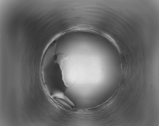 X0000082721146200702161835