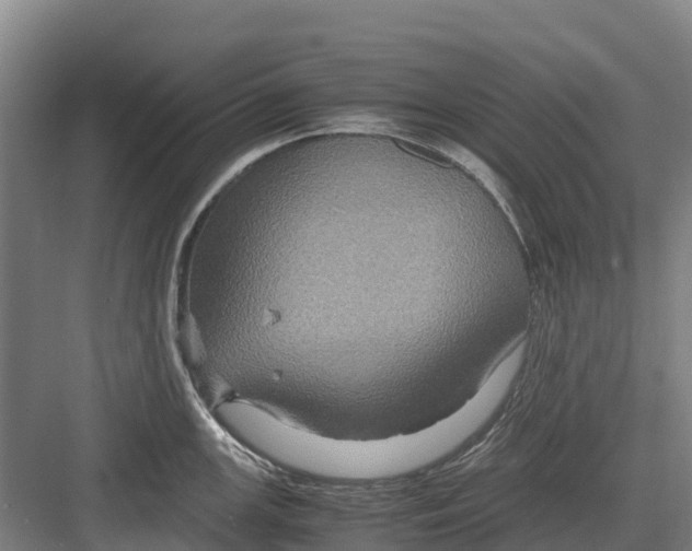 X0000082721147200702161835