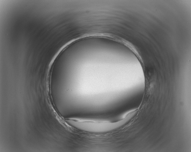 X0000082721148200702161835