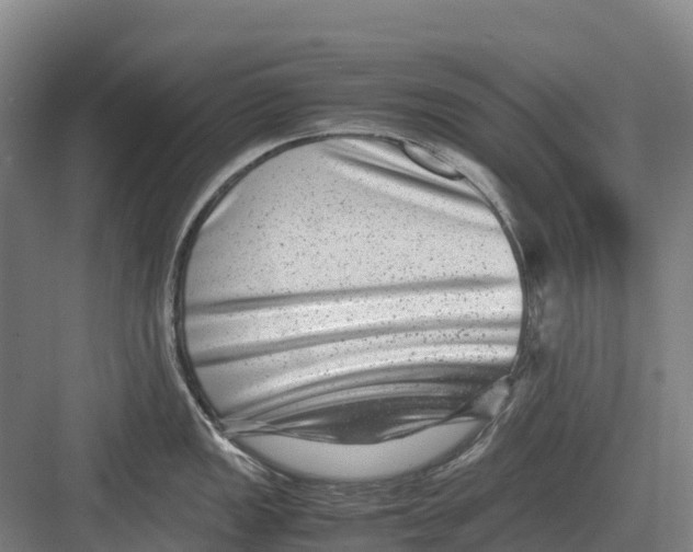 X0000082721149200702161835