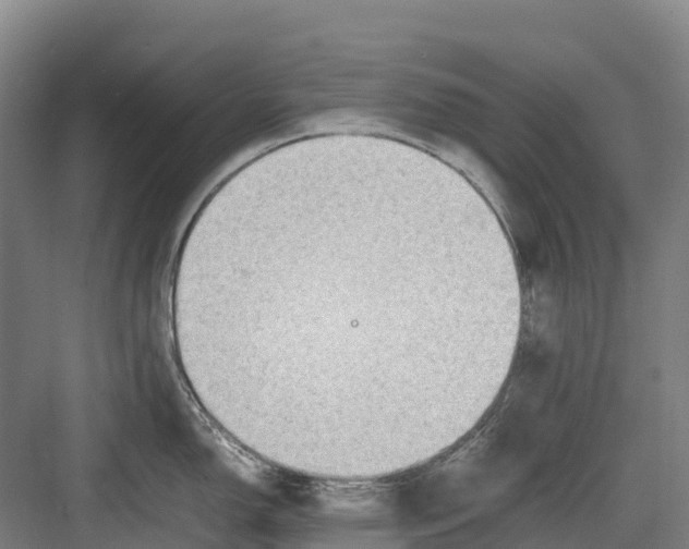 X0000082721150200702161835