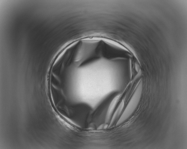 X0000082721151200702161835