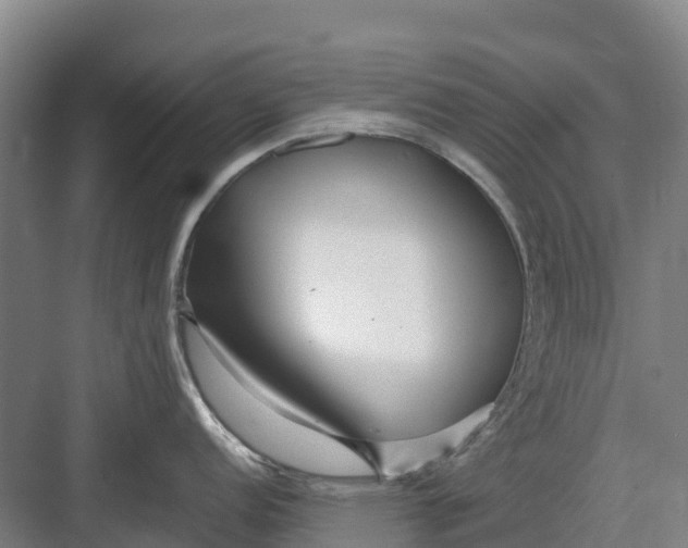 X0000082721152200702161835