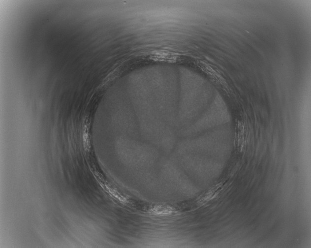 X0000082721154200702161834