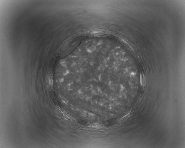 X0000082721155200702161834