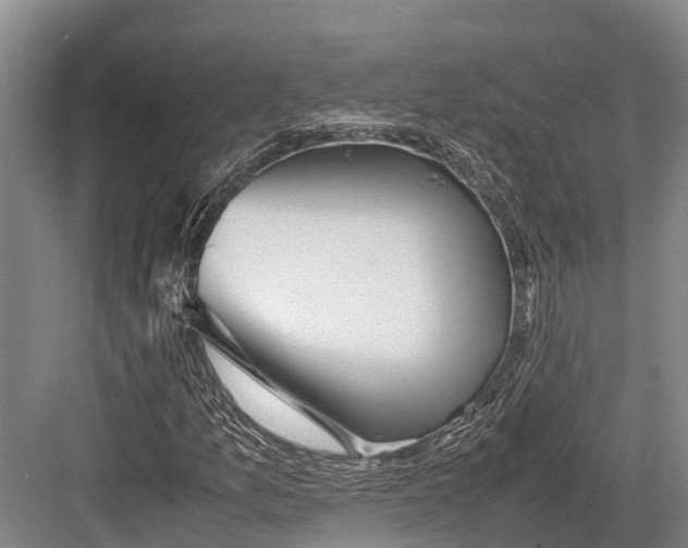 X0000082721157200702161834