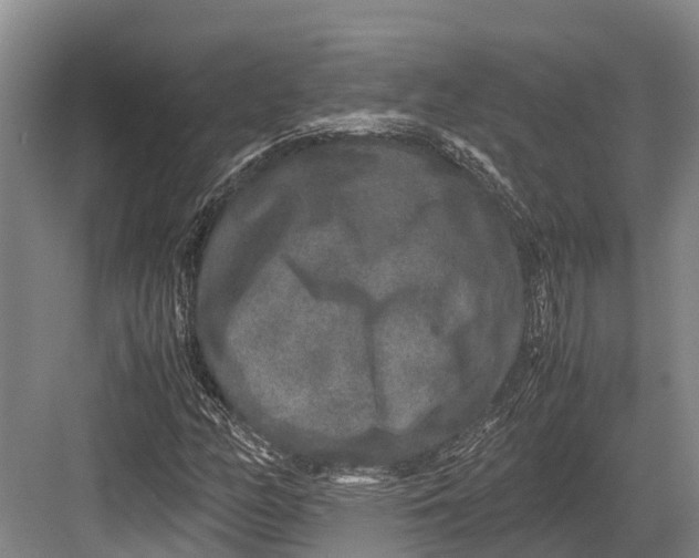 X0000082721158200702161834