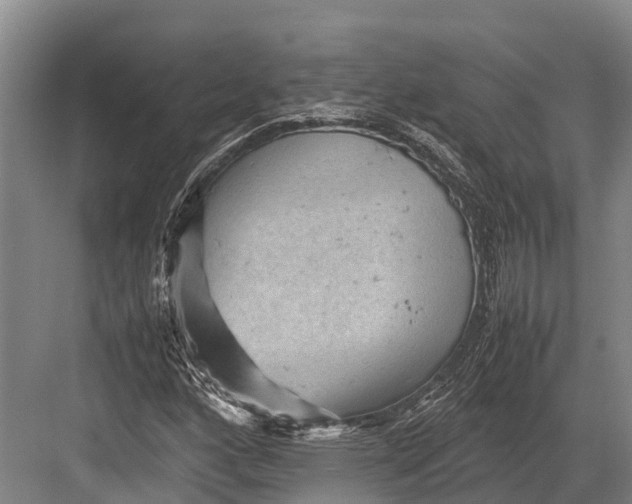 X0000082721160200702161834