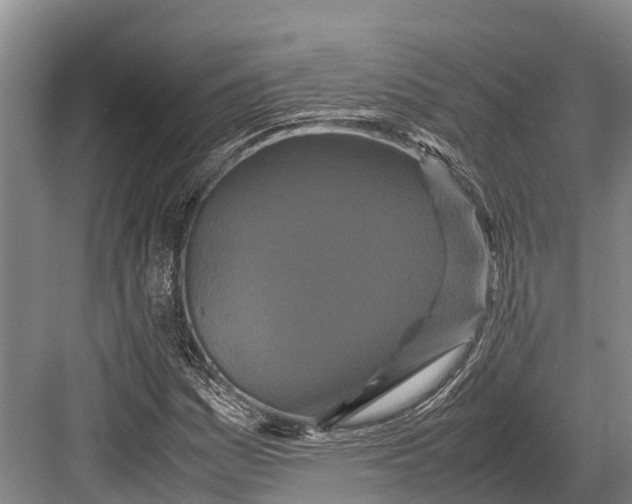 X0000082721161200702161834